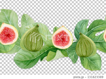 Fig fruits with leaves, green texture watercolor seamless border isolated on white. Hand-painted clipart for organic design, food packaging, seasonal decor, healthy lifestyle projects. Horizontal 131823389