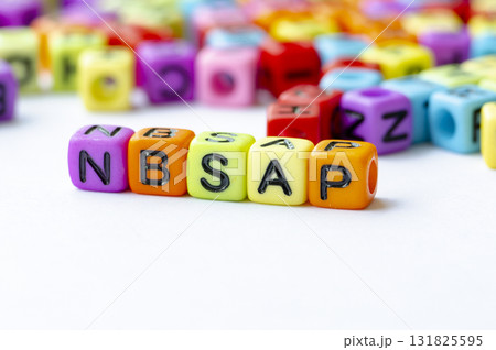 Close up of NBSAP text on multicolored cubes representing National Biodiversity Strategy and Action Plan. Conservation concept. Close up of NBSAP text on multicolored cubes representing National Biodiversity Strategy and Action Plan. Conservation concept. 131825595