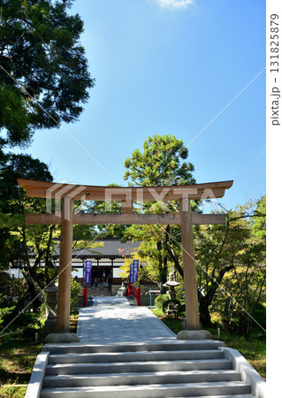 伊太祁曽神社(鳥居・拝殿) 【和歌山県和歌山市】 伊太祁曽神社(鳥居・拝殿) 【和歌山県和歌山市】 131825879