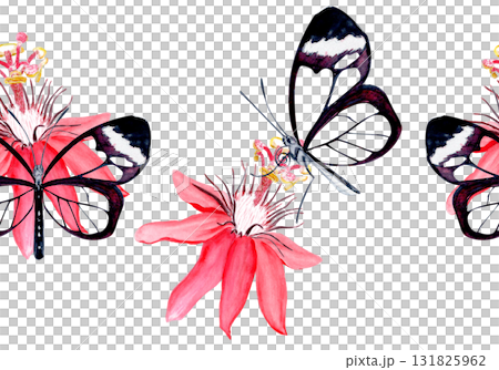 Glasswing butterfly and passionflower blossom elegant watercolor seamless border on white. Hand-painted art perfect for tropical decor, botanical card, eco branding, packaging, or wedding invitations. Glasswing butterfly and passionflower blossom elegant watercolor seamless border on white. Hand-painted art perfect for tropical decor, botanical card, eco branding, packaging, or wedding invitations. 131825962