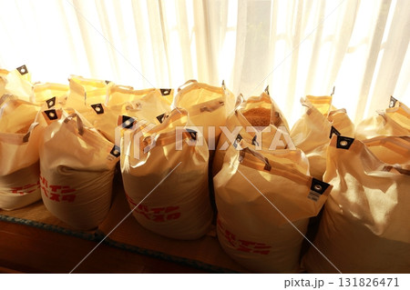 脱穀、収穫されて、昔ながらに縁側で優しく天日干しされる新米の籾 脱穀、収穫されて、昔ながらに縁側で優しく天日干しされる新米の籾 131826471