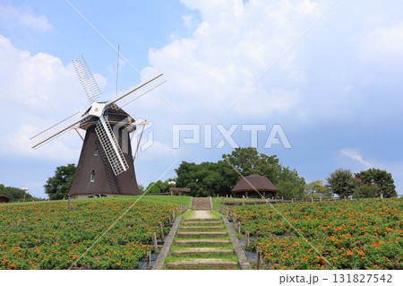 大阪府・大阪市・花博記念公園鶴見緑地・風車の丘 大阪府・大阪市・花博記念公園鶴見緑地・風車の丘 131827542