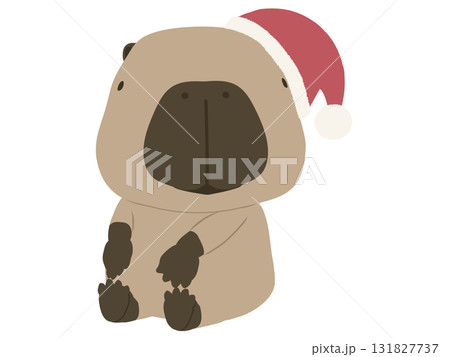 サンタ帽をかぶったカピバラ 131827737