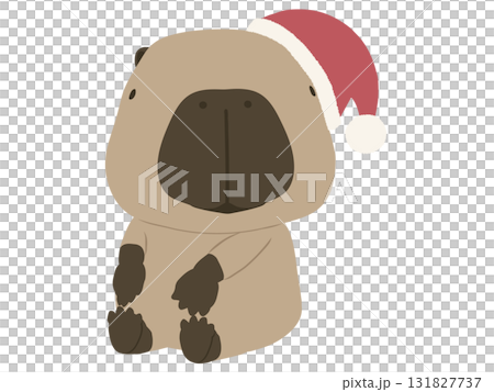 戴著聖誕帽的水豚 戴著聖誕帽的水豚 131827737