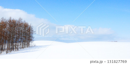 青空広がる冬の北海道美瑛町の爽やかな風景 131827769