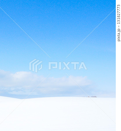 青空広がる冬の北海道美瑛町の爽やかな風景 131827773