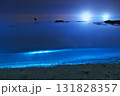 砂浜に光る夜光虫 131828357