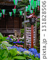 文京あじさいまつり 131828506