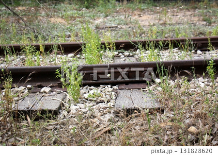 Close-up of the railway in Israel. 131828620