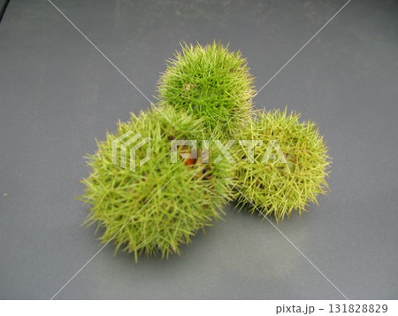 秋の旧車ドライブ 131828829