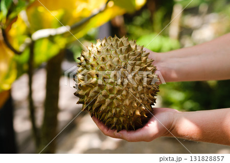 Man holds a durian fruit with spiky exterior while standing in a lush green garden during daytime 131828857