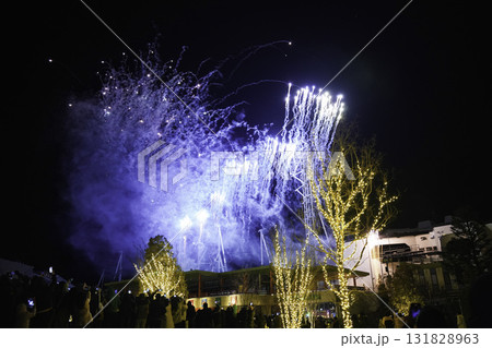 打ちあがる花火 打ちあがる花火 131828963