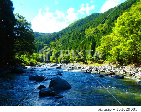 飛騨小坂川、光と緑が踊る渓流風景 131829085