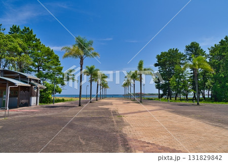 宮崎ポートバーク　R7年 131829842