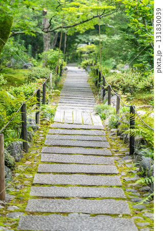 京都　嵯峨野　宝筐院（室町幕府二代将軍足利義詮と小楠公の墓所）苔庭の日本庭園　右京区嵯峨釈迦堂門前 131830039