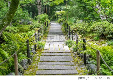 京都 嵯峨野 宝筐院(室町幕府二代将軍足利義詮と小楠公の墓所)苔庭の日本庭園 右京区嵯峨釈迦堂門前 京都 嵯峨野 宝筐院(室町幕府二代将軍足利義詮と小楠公の墓所)苔庭の日本庭園 右京区嵯峨釈迦堂門前 131830040