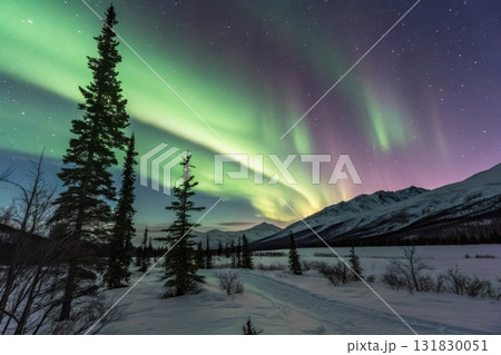 snow forest and mountain with aurora at night 131830051