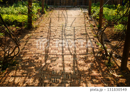 Natural shadow of sunlight on brick walkway in tropical garden Natural shadow of sunlight on brick walkway in tropical garden 131830549