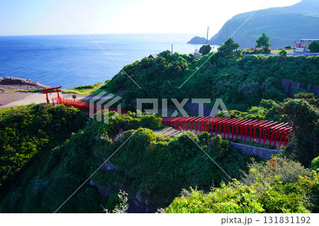 赤い鳥居　元乃隅神社1135 131831192