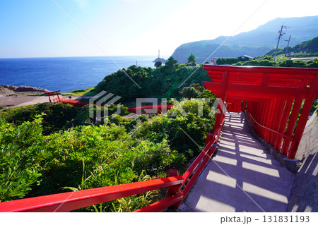 赤い鳥居　元乃隅神社1138 131831193