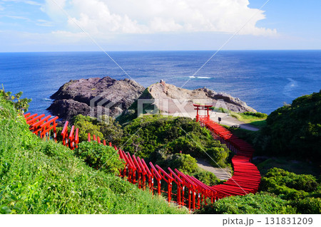 赤い鳥居　元乃隅神社1177 131831209