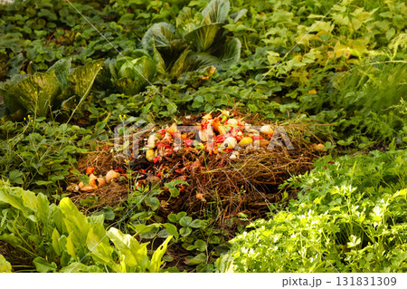 a large compost pile or heap, illustrating the process of breaking down expired food waste. organic compost heap food waste agriculture a large compost pile or heap, illustrating the process of breaking down expired food waste. organic compost heap food waste agriculture 131831309
