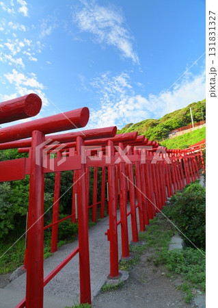 赤い鳥居　元乃隅神社889 131831327