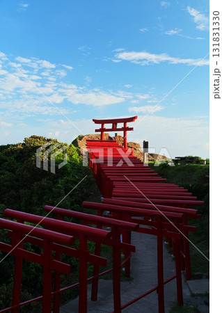 赤い鳥居　元乃隅神社901 131831330