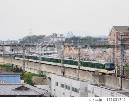 京阪電車 京阪本線 枚方市 桜の季節 Hirakata Keihan Line Spring Sce 131831741