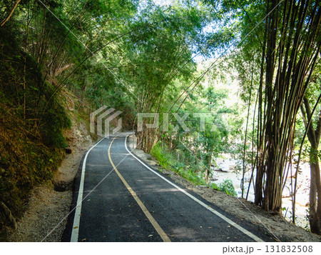 Cycling adventure through scenic bamboo forest mountain road travel nature serene view 131832508
