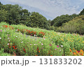 秋の横浜の里山ガーデンの花々 131833202