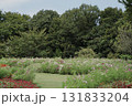 秋の横浜の里山ガーデンの花々 131833204