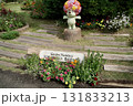 秋の横浜の里山ガーデンの花々 131833213