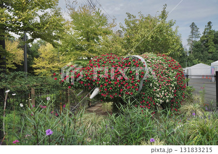 秋の横浜の里山ガーデンの花々 131833215