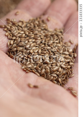 flax seeds for sowing, a large number of brown flax seeds for a new crop or germination for nutrition flax seeds for sowing, a large number of brown flax seeds for a new crop or germination for nutrition 131833335
