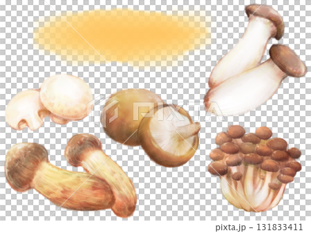 水彩で描いた秋のきのこセットイラスト(しいたけ・まつたけ・しめじ・マッシュルーム・エリンギ) 水彩で描いた秋のきのこセットイラスト(しいたけ・まつたけ・しめじ・マッシュルーム・エリンギ) 131833411