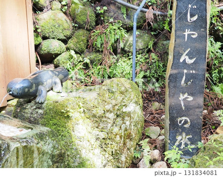 赤目四十八滝「じゃんじゃの水」 131834081