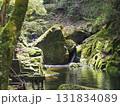 赤目四十八滝 ― 苔むす流れ 131834089