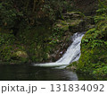 赤目四十八滝・陰陽滝　三重県名張市の苔むした渓谷に流れる清流 131834092