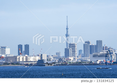 羽田空港の風景　国土交通省機と東京スカイツリー　東京都大田区 131834125