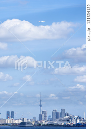 羽田空港の風景　離陸中の飛行機と東京スカイツリー　東京都大田区 131834129