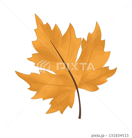 Illustration of autumn leaf Illustration of autumn leaf 131834513