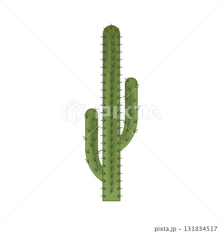 Illustration of cactus Illustration of cactus 131834517