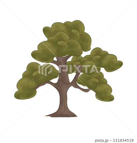 Illustration of tree 131834519