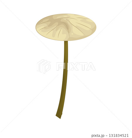 Illustration of mushroom  131834521