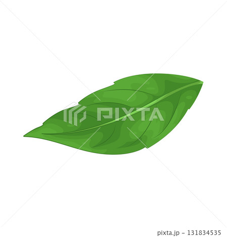 Illustration of leaf 131834535