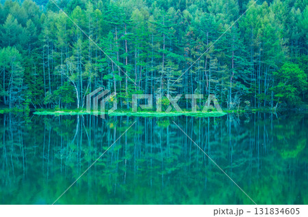 神秘的な早朝の御射鹿池 131834605