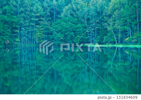 神秘的な早朝の御射鹿池 131834609