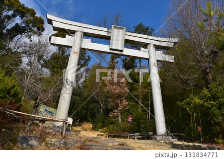 天王山の中にある鳥居　酒解神社 131834771