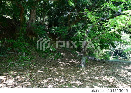 浜田城140 焔硝櫓の曲輪 131835046